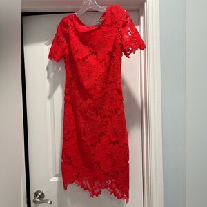 Donna Ricco Vibrant Red Lace Midi Dress